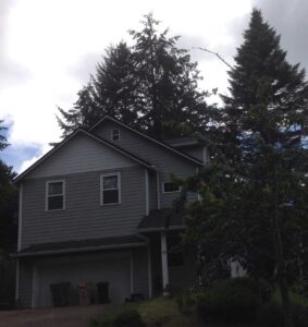 A Residential White Gutter Installation by Oregon Gutter Service in Albany, Oregon