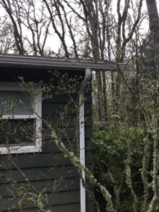 A Residential White Gutter Installation by Oregon Gutter Service in Corvallis, Oregon