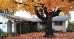 A Residential White Gutter Installation by Oregon Gutter Service in Lebanon, Oregon