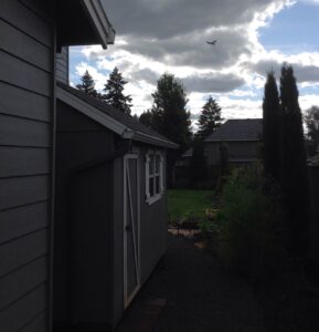 A Residential White Gutter Installation by Oregon Gutter Service in Lebanon, Oregon