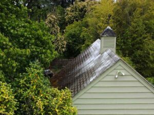 A Residential Moss Treatment by Oregon Gutter Service in Lebanon, Oregon